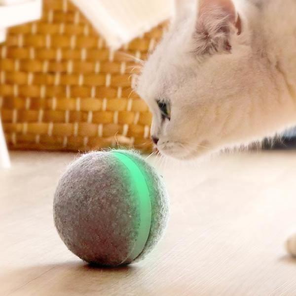 🐱 🐶 主人想抖抖，點先可以等毛孩自動波去玩？