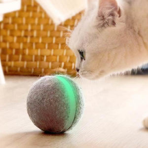 🐱 🐶 主人想抖抖，點先可以等毛孩自動波去玩？