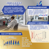 【送贈品】川御鉑鑽版 NMN 40000+ ***買6送1優惠，贈品不包人蔘蟲草/十全袪濕 (預訂貨品，5月28日送出)