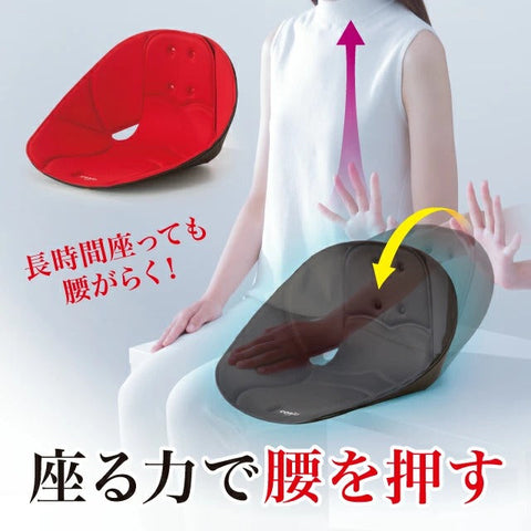 NEEDS LABO COSIOS 坐姿矯正椅背 (預訂貨品，10月11日送出)