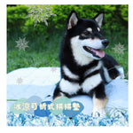 Ca Ca Pet 寵物冰涼系列 (預訂貨品，10月5日送出)